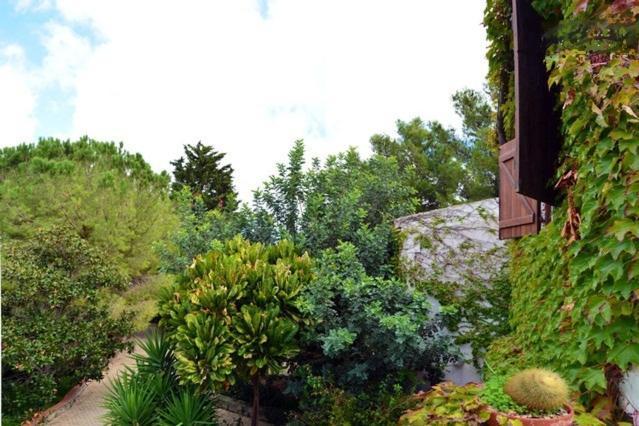 בלבדרה Eurialo Green Suites מראה חיצוני תמונה